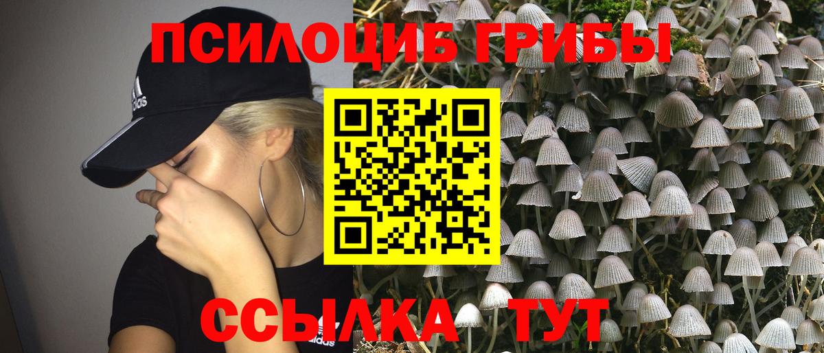 Вятские Поляны  Галлюциногенные грибы GOLDEN TEACHER  Псилоцибиновые грибы Magic Shrooms  Вход с VPN 